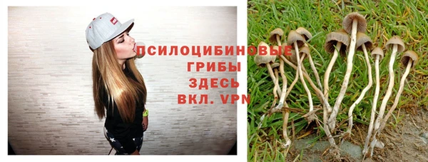 ешки Верхний Тагил